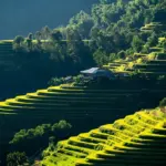 Hvilken type trappestige er bedst egnet til brug derhjemme?